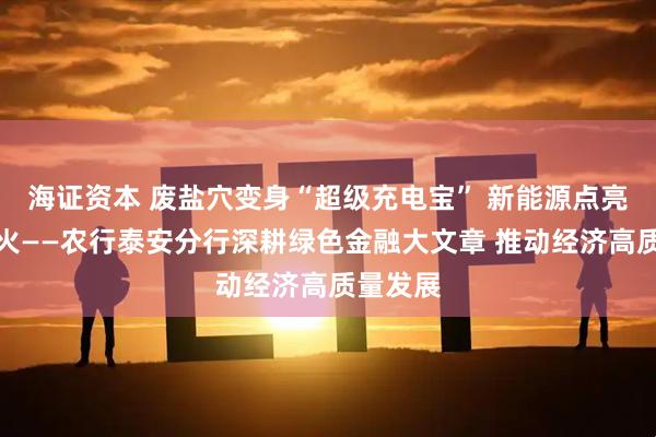 海证资本 废盐穴变身“超级充电宝” 新能源点亮万家灯火——农行泰安分行深耕绿色金融大文章 推动经济高质量发展
