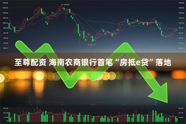 至尊配资 海南农商银行首笔“房抵e贷”落地