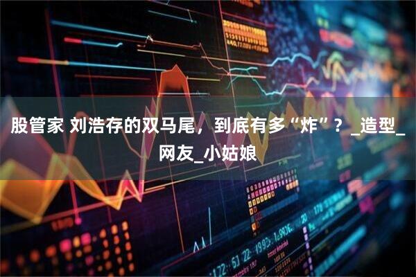 股管家 刘浩存的双马尾，到底有多“炸”？_造型_网友_小姑娘