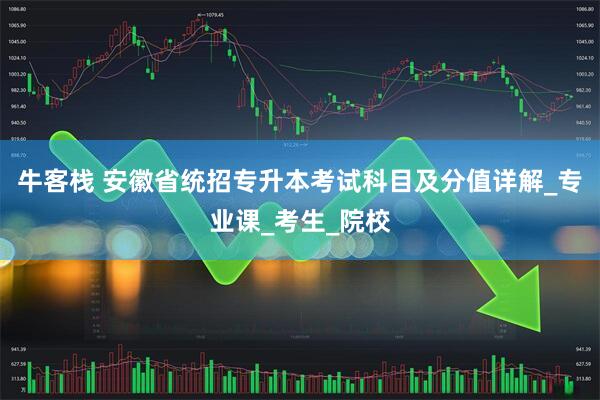 牛客栈 安徽省统招专升本考试科目及分值详解_专业课_考生_院校