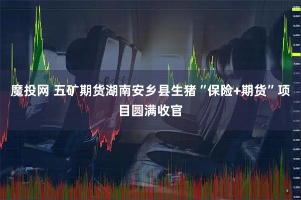 魔投网 五矿期货湖南安乡县生猪“保险+期货”项目圆满收官